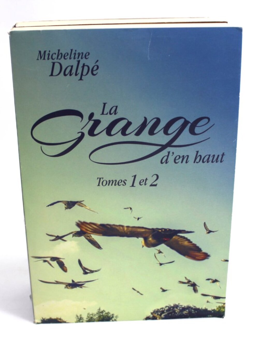 Lot 2 Livres books Micheline Dalpé - La Grange D'en Haut Tome 1-2 French